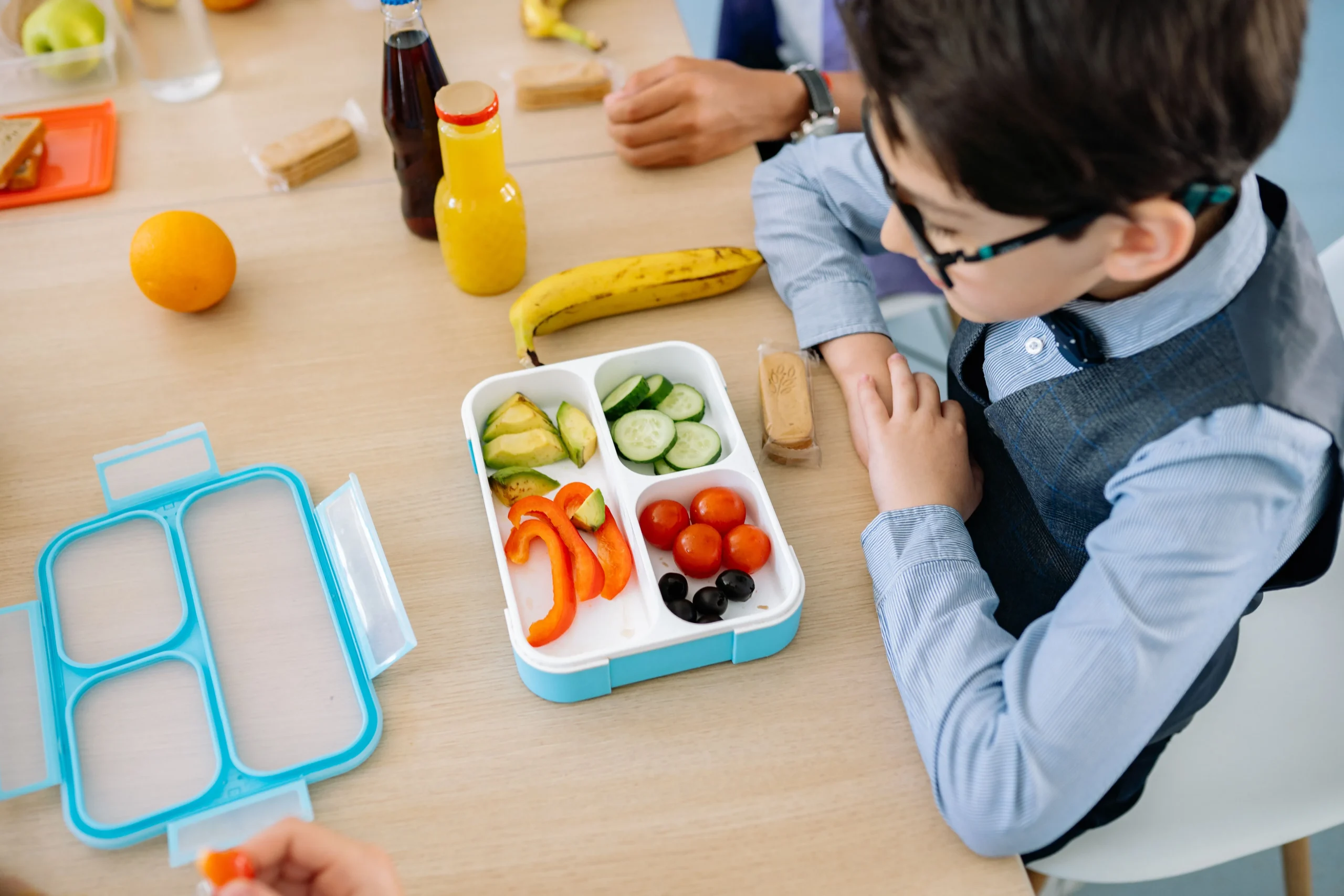 Best portable electric lunch box